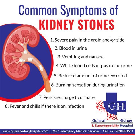 A Kidney Stone Usually Remains Symptomless Until It Moves Into The
