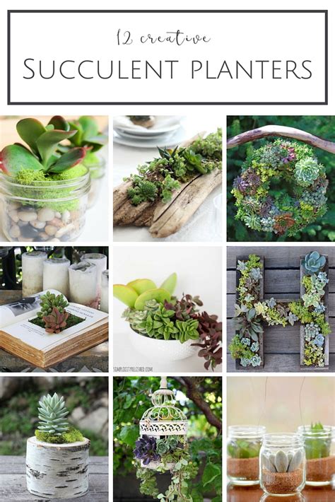 This project only takes a few supplies, about an hour and is a simple way to display. 12 Creative DIY Succulent Planter Ideas - making it in the ...