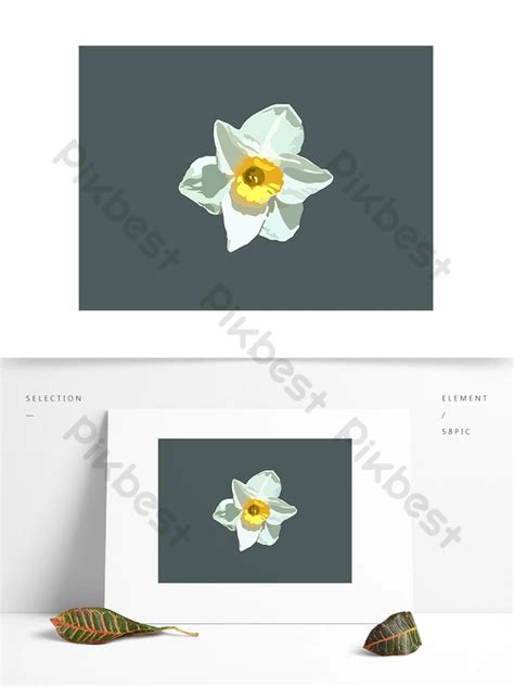 Gambar Vektor Bunga Putih Elemen Grafis Ai Unduhan Gratis Pikbest