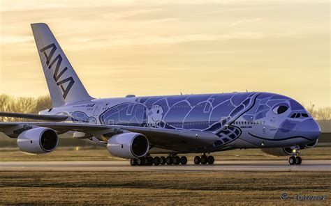 Ana Airbus A380 Ja381a Lani Wolfgang Küchler Flickr