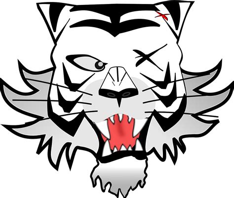 We did not find results for: Gambar Kartun Harimau Sumatera - Gambar Kartun