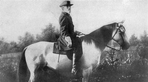 Grigio E Confederato Traveller Il Cavallo Più Amato Del Generale
