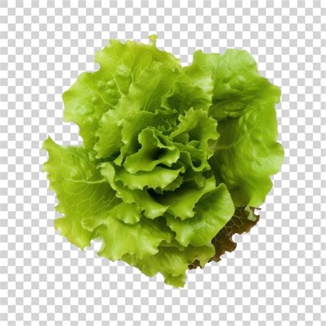 La Hoja De Lechuga Verde Verduras Frescas Png Clipart Transparente