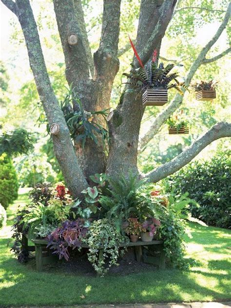 Now wait again patiently for around six months. 18 Impressive Ideas to Decorate Around Trees - The ART in LIFE