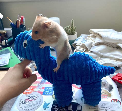 Psbattle Hamster Riding A Dinosaur Rphotoshopbattles