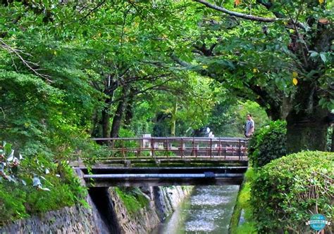 4 Days In Kyoto Itinerary Complete Guide For First Timers Kyoto Itinerary Kyoto Travel Kyoto