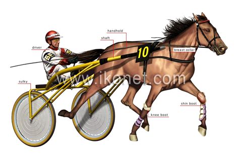 Sports And Games Equestrian Sports Horse Racing Harness Racing