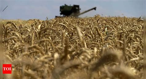 Russia Says It Resumes Participation In Ukraine Grain Deal Times Of India
