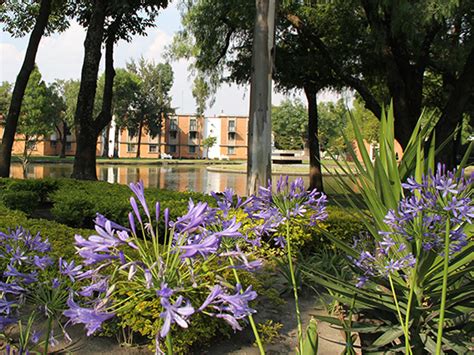 If you would like to find out more about exchange. Nuestro campus - Flora y fauna - Universidad de las ...