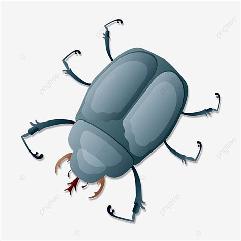 Blue Gray Beetle Clip Art, Beetle, Clipart, Blue Gray PNG and Vector