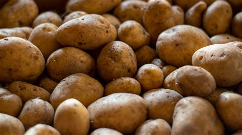 Everything You Need To Know About Russet Potatoes