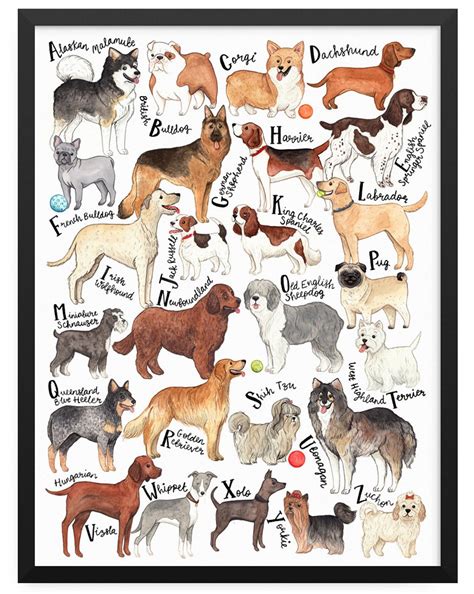 Printable Dog Breed Chart Printable Word Searches