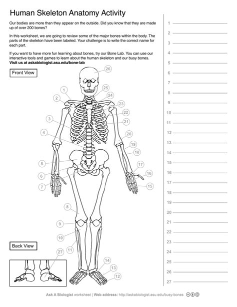 Thick filaments of a muscle fiber 5. Bone Anatomy Crossword : Tm Crossword Skeletal System ...