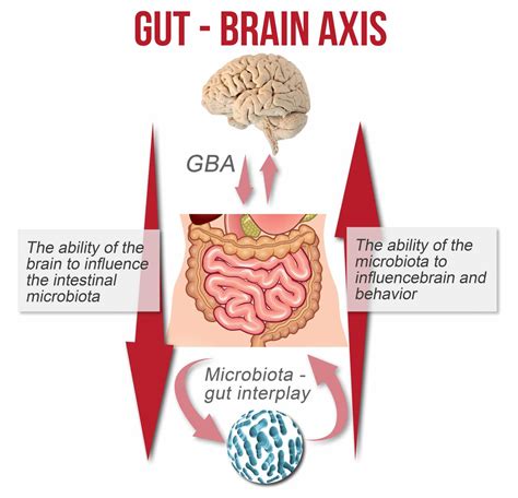 Microbial Gut Brain Axis