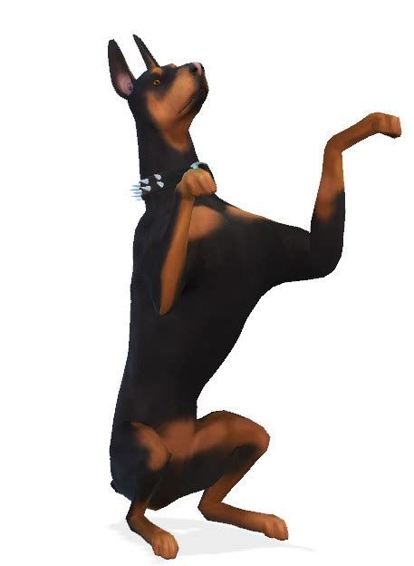 Bruno And Nikki The Dobermans At Enchantingessence Sims 4 Updates