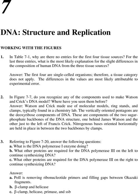 Nucleotide structure dna and replication worksheet answers awesome business ib dna structure replication review. Dna Structure And Replication Worksheet Answers Key — db ...