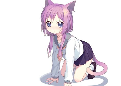 Cute Anime Girl With Cat Wallpaper