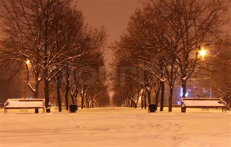 Snowy Avenue At Winter Night Stock Image Colourbox