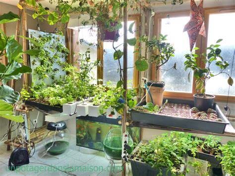 Indoor Vegetable Garden Lets Invent A Universe Together