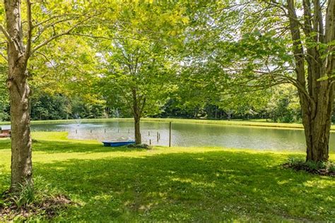 Hope you guys enjoy the video! Peaceful setting next to our 3/4 acre pond - Picture of ...