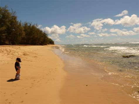 kiva peeing on random beach photo