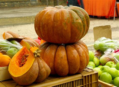 Free Images Fall Food Produce Vegetable Autumn Pumpkin Market