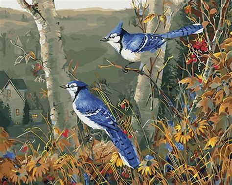 Blue Blue Jay Bird Birds Paint By Number Paint By Numbers For Adult