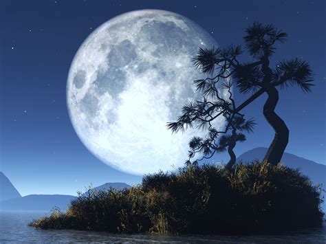 Imagensnet Noite De Lua Cheia Night Of The Full Moon Full Moon