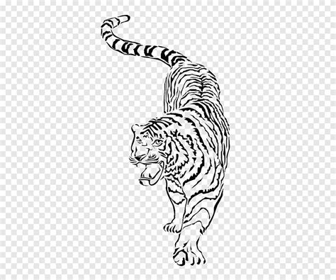 Descarga Gratis Bigotes Sur China Tigre Dibujo Tigre Pintura De