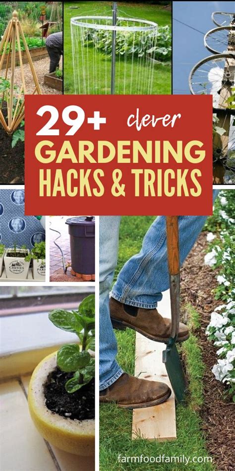 27 clever gardening hacks and tricks that you never thought of gardening tips creative