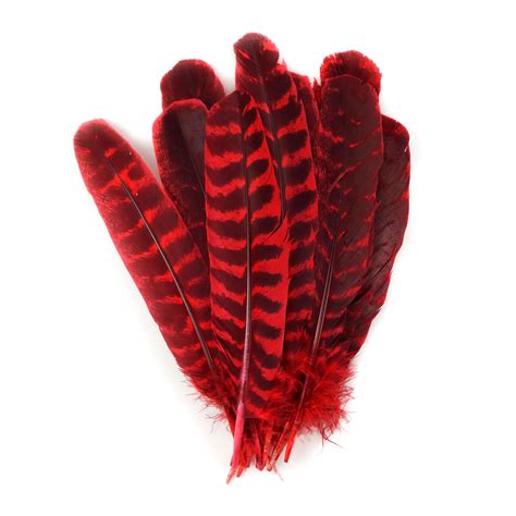 Wild Turkey Feathers Natural Barred Quills 8 12 Dyed Hot Red Etsy