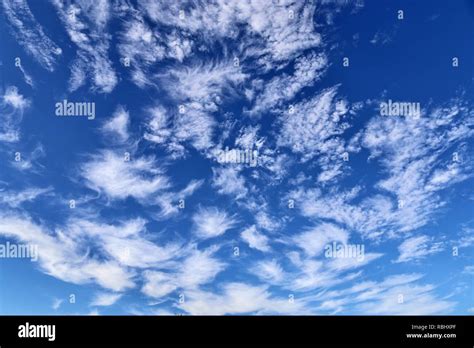 High Resolution Cirrus Clouds In A Blue Sky In Summer Stock Photo Alamy