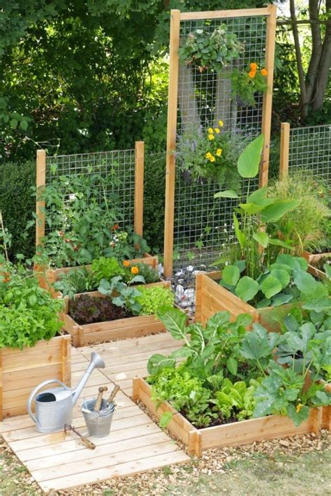 See How You Can Grow Amazing Vegetables In Raised Garden Beds - The ART