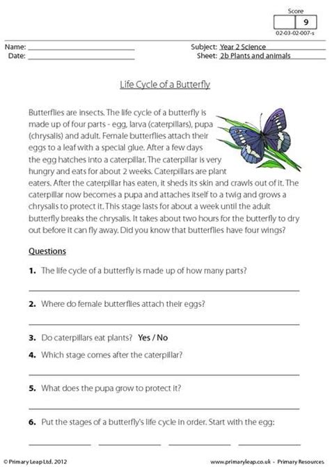 Free essay writing guide on how to write an essay in five simple steps. Life cycle of a butterfly | PrimaryLeap.co.uk | Life ...
