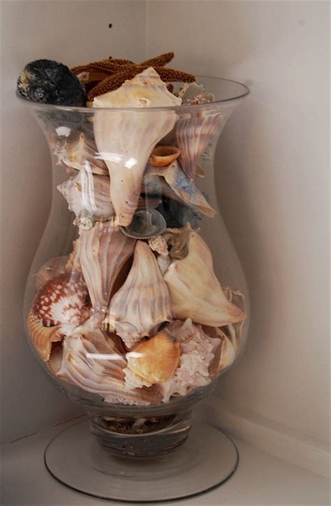 This craft uses a pastel bead cord colors for a subtle look, and brighter hues for contrast. 186 best Beautiful Sea Shell Pictures images on Pinterest ...