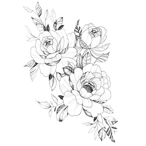Peony Ink Drawing Flower Tattoo Shoulder Flower Sketches Roses Drawing