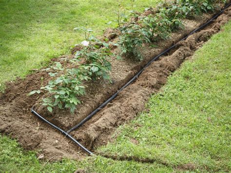 How To Install Garden Irrigation Ways To Put In Irrigation Systems