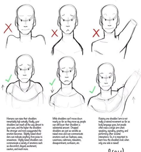 pin by alleycat lawless on drawing and autonomy drawing tips anatomy reference figure