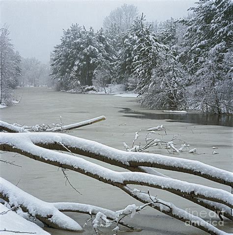 Spring Snowfall Photograph By Elena Filatova Fine Art America