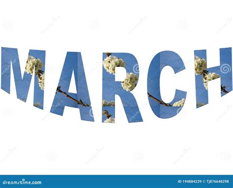 Colourful Design Word March Font Stock Vector Decorative Element In