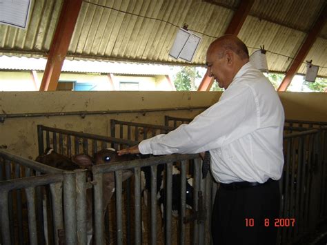 Dr J V Parekh Dairy Consultant In India Blog Archive Dairy Farm