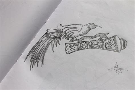 Gambar Sketsa Batik Burung Cendrawasih Inapg Id