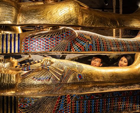 history comes alive at discovering king tut s tomb—the experience in