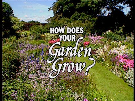 How Does Your Garden Grow Collections Northern Ireland Screen