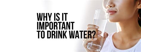 Why Is It Important To Drink Water Health Factors