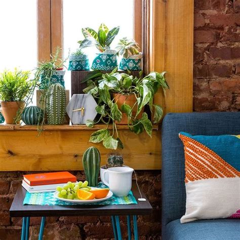 13 Ways To Decorate Your Home With Plants Brit Co