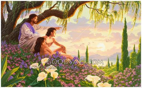 Bible Study 102 The Garden Of Eden — Steemit