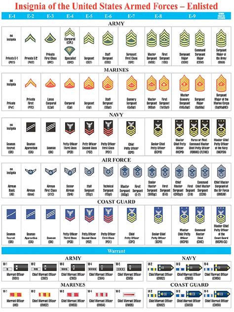 Army Enlisted Ranks In Order Reyndesigns