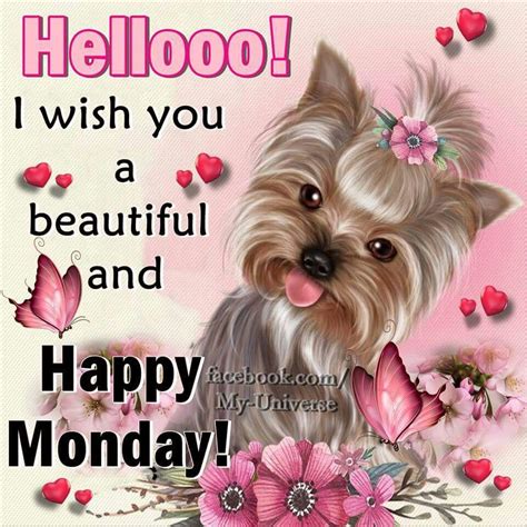 Hellooo I Wish You A Beautiful And Happy Monday Pictures Photos And
