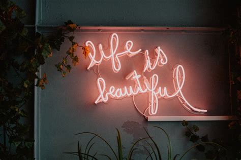 Life Is Beautiful Pictures Download Free Images On Unsplash
